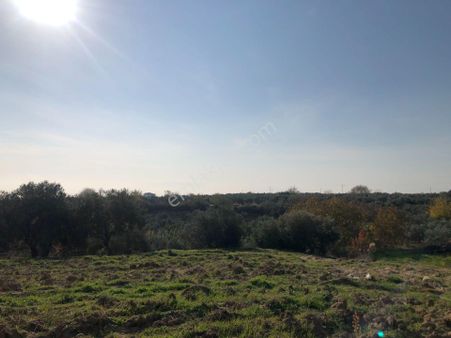 Şarköy De Işıık Emlaktan İğdebağları Mah De 2550 M2 Tarla