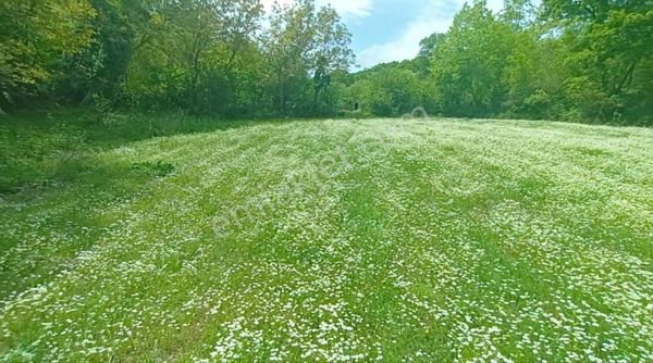 Çanakkale Lapseki Güreci Köye Yakın Yatırımlık Fırsat Tarla