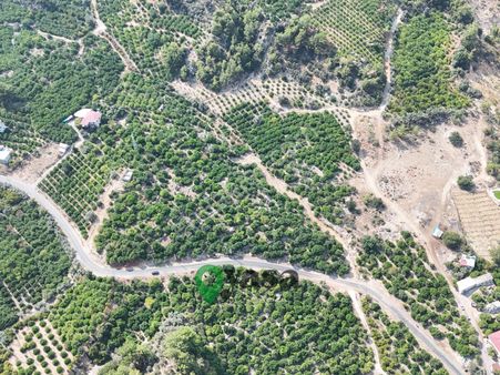 Yaşa Gyd Yenişehir Karahacılı 2419m2 Dönüm Satılık Limon Bahçesi