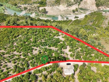 Yaşa Gyd - Yenişehir Karahacılı 18 Dönüm Satılık Limon Bahçesi