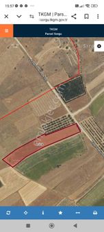 ❗tefenni Başpınar Merkezde Tarla❗