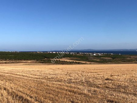 Şarköy De Işık Emlaktan Kızılcaterzi Mah De 30.000 M2 Tarla