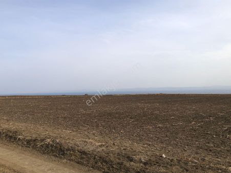 Şarköy De Işık Emlaktan Kızılcaterzi Mah De 9000 M2 Tarla