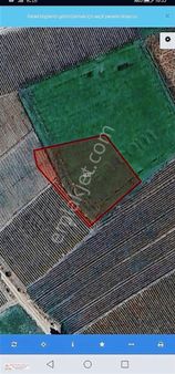 Seydişehir Boyalı Da Satılık Tarla