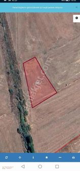 Seydişehir Boyalı Da Satılık Tarla