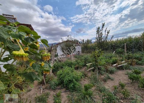 Büyükyıldız Köyünde Satılık 958 M² Hisseli Bahçe