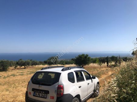 Şarköy De Işık Emlaktan Kirazlı Mah De 1823 M2 Kirazlık.