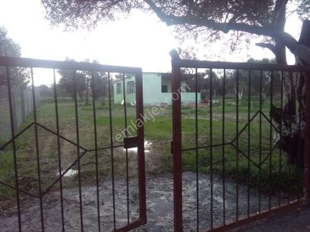 İzmir Torbalı Gold Emlaktan Satılık Bahçeli Ev