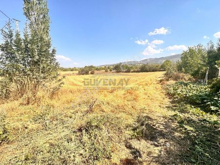 Güvenay - Çorum Boğabagı Köyünde 381 M² Bağ