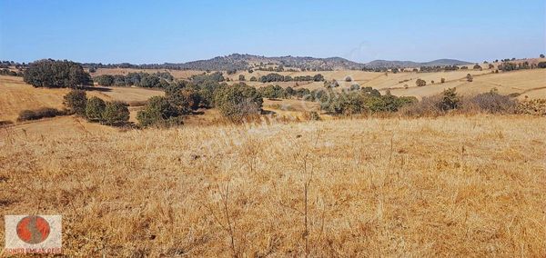 Biga Harmanlı Da Eko Turizm 'e Uydun Köy İçi Arsa