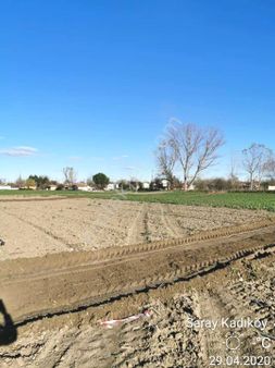 Saray Kadıköy'de Satılık 1068 M2 Bağ Yeri