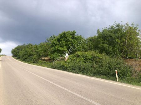 Şarköy De Işık Emlaktan Camikebir Mah De 1900 M2 Cevizlik