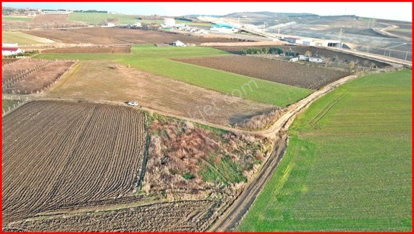 Elbasanda Elektiriği Suyu Yanı Başında Tek Tapu Tarla