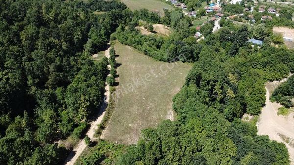 Tb Grup'tan Satılık Etrafı Ormanla Çevrili Arazi