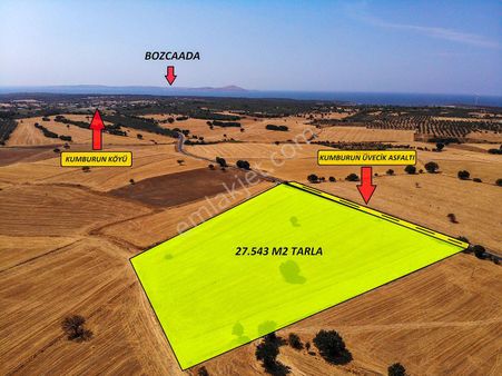 Çanakkale Ezine Kumburun Köyünde Satılık Asfalt Cepheli Tarla