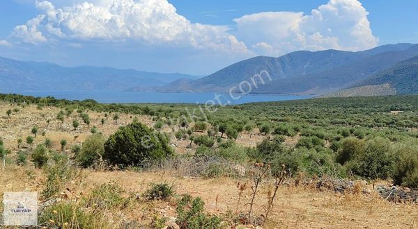 Aydın Didim Akyeniköy Bozseki 2.850 M2 Satılık Arsa Emsalsız