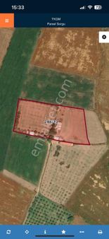 Güzelhisar Kozlar Mevkiide İçinde Ev Olan Satılık Tarla