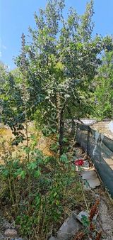 Yenicami Villalara Yakın Müstakil Bahçeli Satılık İki Katlı Ev