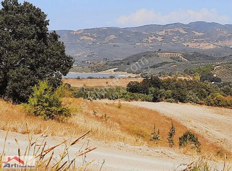 Arti Dan Mudanya Çınarlı Satılık Bahce