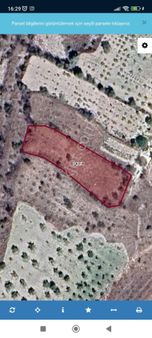 Nevşehir Ürgüp Peribacaları Yakınında Satılık Bağ Bahçe