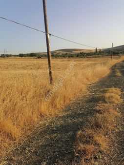 Gökçe De Bahçelik Yatırıma Uygun Tarla