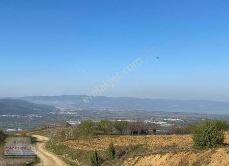 Gemlik Güvenli Köyünde Göl Manzaralı Satılık Tarla