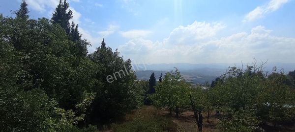 Tb Grup'tan Satılık 800 M2 Köy İçi Tarla