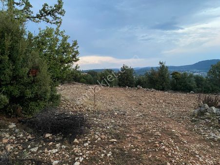 Erdemli Sarıkaya Kadılı Mevkiinde Satılık 7 Dönüm Tarla