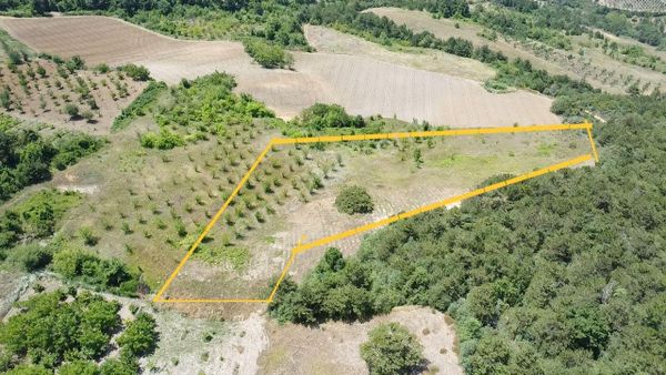 Ömer Emlak Geyve Alıplar