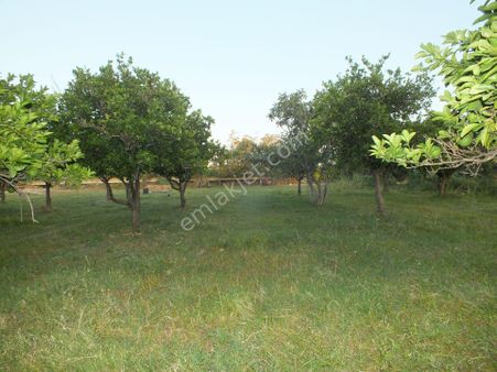 Durasıllı Mahallesinde Satılık Arsa