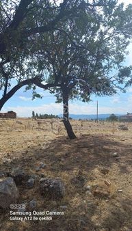 Dinar Kızıllı Köyü Köy İçi Arsa