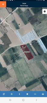 Kokuteli Yeşilyaylada Verimli Toprak Olan Yerimiz Satılıktır