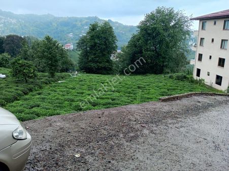 Rize Derepazarı Merkez Mahallesi Satılık Villalık Arazi