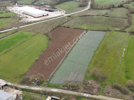 Çanakkale Yenice Kurtlar Köyü'nde Yatırım Fırsatı Satılık Tarla