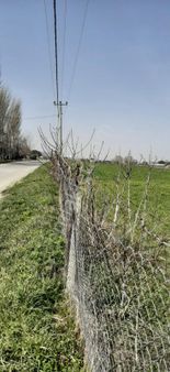 Kemalist Gayrimenkul'den, Çatalca'da, Kadastral Yola Cepheli, Tek Tapu, 1.722 M2