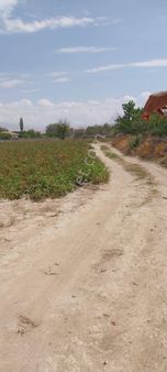 Niğde Bor Kemerhisar Çayır Mah.satılık Elmalık