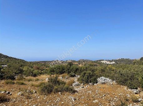 Güzelbağ Fatih Mah. Yatırıma Uygun Ful Deniz Manzaralı Tarla