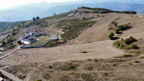 Sakarya Geyve Akkaya' Da Manzaralı Satılık Arazi 6.996 M2