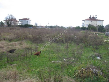 Hatıplar Şehlpetrol Altı 3000m2 Satılık Konut Arsası 61000000tl