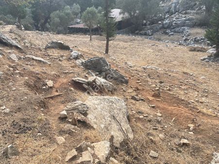 Coldwell Banker Burak Efe Den Marmaris Bayır Da Tarla