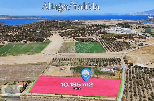 Aliağa Yalı Mahallesinde Köşe Konumlu 10.185 M2 Tarla