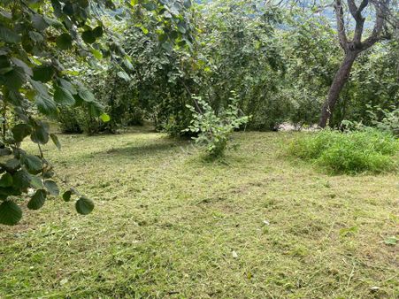 Gümüşgrup Gayrimenkulden Yatırımlık Satılık Turzim İçin Arazi