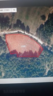 Yaylabeli Köyü Ana Yola Sıfır 7900m2 Çiftlik , Bungalov Turizm Yapımına Uygun Arazi