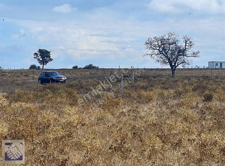 Adapazarı'nda Satılık.14560.m2.arazi