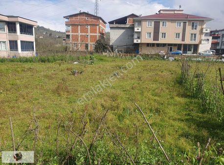 Umut Emlak'tan Eskipazar Da Satılık Arsa