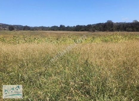 Y&t Gayrimenkulden Satılık