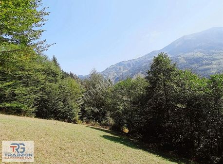 Maçkada Doğa İçinde Satılık Arazi