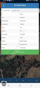 Aydın Karacasu Hacıhıdırlar'da 1000 Ağaçlı Zeytinlik
