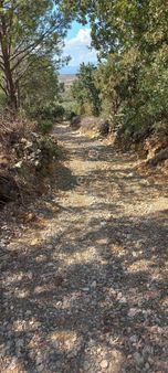 Satılık Müstakil Tapu