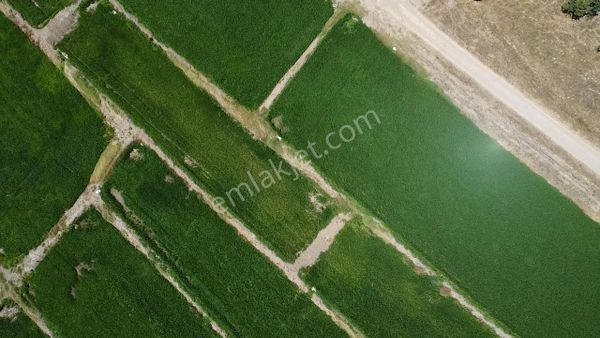 Güvemalan Satılık 20 Dönüm Sulu Tarla